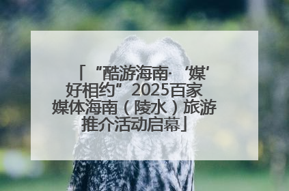 “酷游海南·‘媒’好相约”2025百家媒体海南（陵水）旅游推介活动启幕