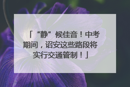 “静”候佳音！中考期间，诏安这些路段将实行交通管制！