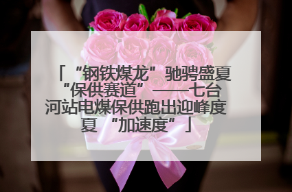 “钢铁煤龙”驰骋盛夏 “保供赛道”——七台河站电煤保供跑出迎峰度夏 “加速度”
