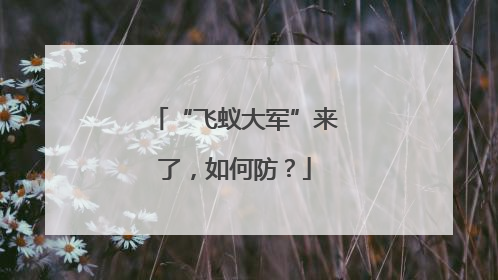 “飞蚁大军”来了，如何防？