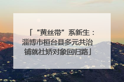 “黄丝带”系新生：淄博市桓台县多元共治铺就社矫对象回归路