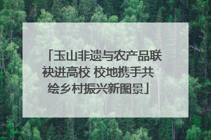 玉山非遗与农产品联袂进高校 校地携手共绘乡村振兴新图景
