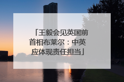 王毅会见英国前首相布莱尔：中英应体现责任担当