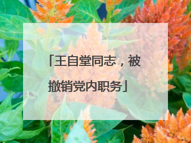 王自堂同志，被撤销党内职务