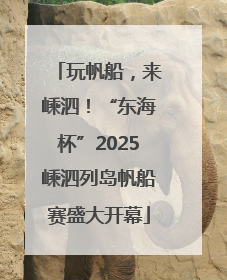 玩帆船，来嵊泗！“东海杯”2025嵊泗列岛帆船赛盛大开幕