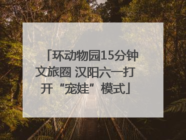 环动物园15分钟文旅圈 汉阳六一打开“宠娃”模式