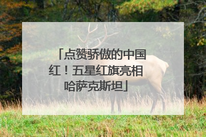 点赞骄傲的中国红！五星红旗亮相哈萨克斯坦