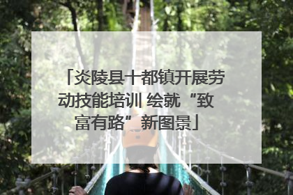 炎陵县十都镇开展劳动技能培训 绘就“致富有路”新图景