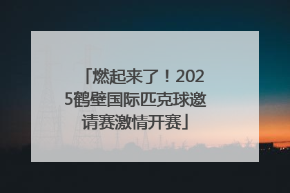 燃起来了！2025鹤壁国际匹克球邀请赛激情开赛