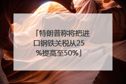 特朗普称将把进口钢铁关税从25%提高至50%