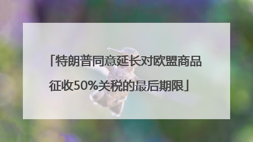 特朗普同意延长对欧盟商品征收50%关税的最后期限