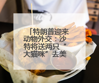 特朗普迎来动物外交：沙特将送两只“大猫咪”去美国首都