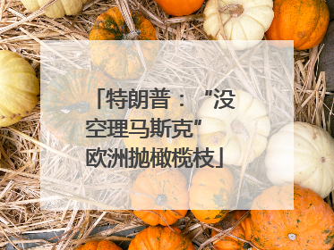 特朗普：“没空理马斯克” 欧洲抛橄榄枝