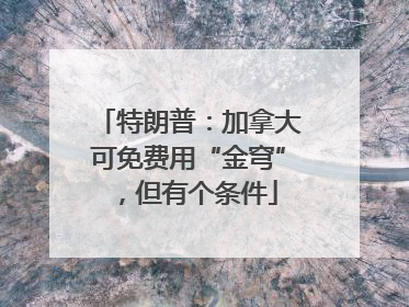 特朗普：加拿大可免费用“金穹”，但有个条件