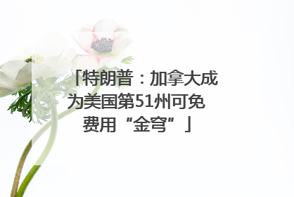 特朗普：加拿大成为美国第51州可免费用“金穹”