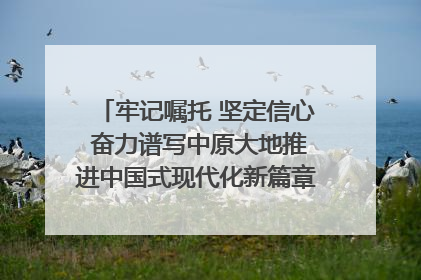 牢记嘱托 坚定信心 奋力谱写中原大地推进中国式现代化新篇章（六）河南绘就“行走河南·读懂中国”新画卷丨牢记嘱托谱新篇