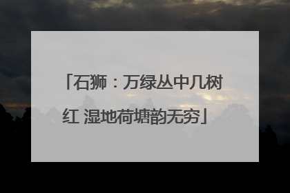 石狮：万绿丛中几树红 湿地荷塘韵无穷