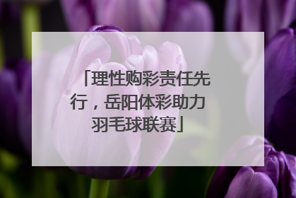 理性购彩责任先行，岳阳体彩助力羽毛球联赛