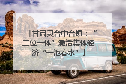 甘肃灵台中台镇：“三位一体”激活集体经济“一池春水”