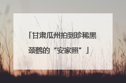 甘肃瓜州拍到珍稀黑颈鹤的“安家照”