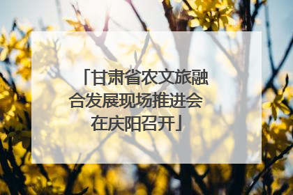 甘肃省农文旅融合发展现场推进会在庆阳召开