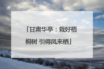 甘肃华亭：栽好梧桐树 引得凤来栖