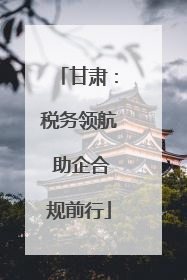 甘肃：税务领航 助企合规前行