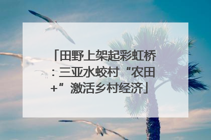 田野上架起彩虹桥：三亚水蛟村“农田+”激活乡村经济