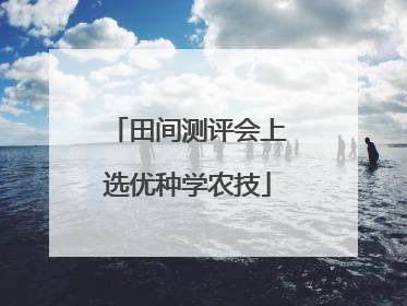 田间测评会上选优种学农技