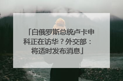 白俄罗斯总统卢卡申科正在访华？外交部：将适时发布消息