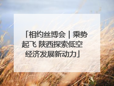 相约丝博会｜乘势起飞 陕西探索低空经济发展新动力