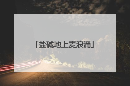 盐碱地上麦浪涌