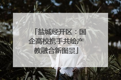 盐城经开区：国企高校携手共绘产教融合新图景