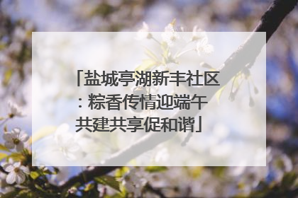 盐城亭湖新丰社区：粽香传情迎端午 共建共享促和谐