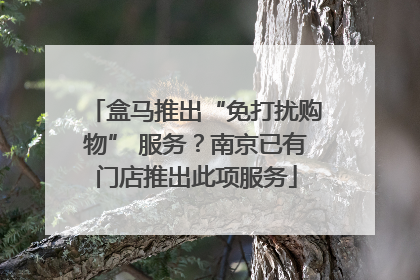 盒马推出“免打扰购物” 服务？南京已有门店推出此项服务