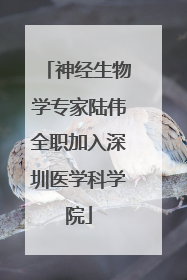 神经生物学专家陆伟全职加入深圳医学科学院