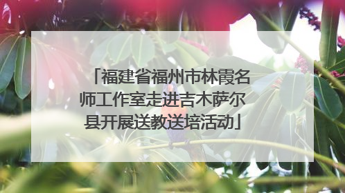 福建省福州市林霞名师工作室走进吉木萨尔县开展送教送培活动