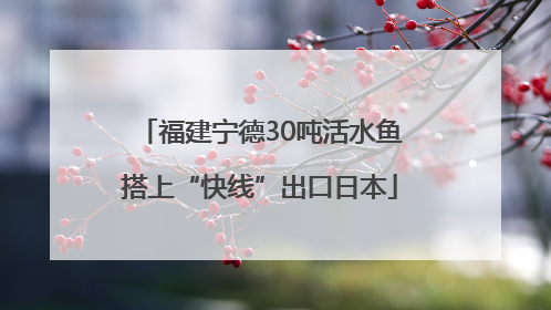 福建宁德30吨活水鱼搭上“快线”出口日本