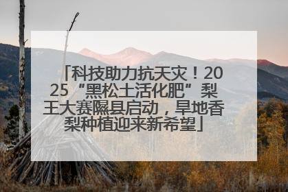 科技助力抗天灾！2025“黑松土活化肥”梨王大赛隰县启动，旱地香梨种植迎来新希望