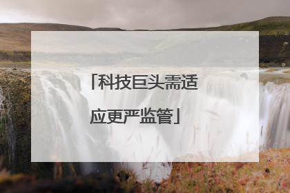 科技巨头需适应更严监管