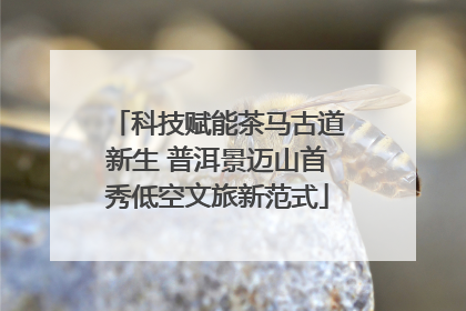科技赋能茶马古道新生 普洱景迈山首秀低空文旅新范式