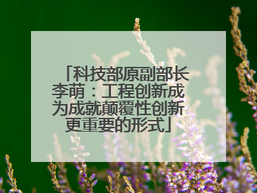 科技部原副部长李萌：工程创新成为成就颠覆性创新更重要的形式