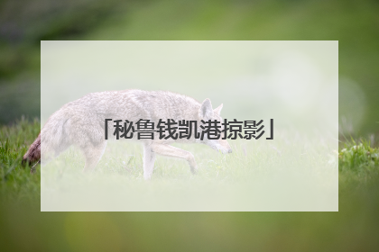 秘鲁钱凯港掠影