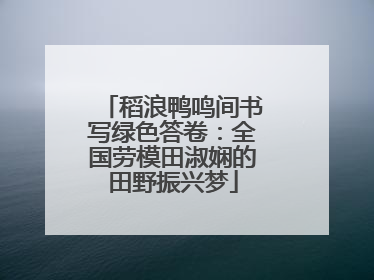 稻浪鸭鸣间书写绿色答卷：全国劳模田淑娴的田野振兴梦