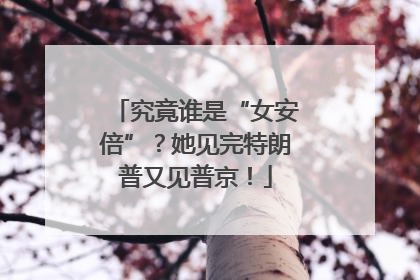 究竟谁是“女安倍”？她见完特朗普又见普京！