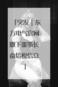 突发｜东方电气官网撤下董事长俞培根信息