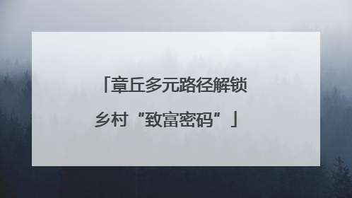 章丘多元路径解锁乡村“致富密码”