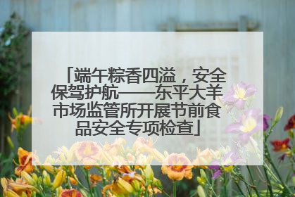 端午粽香四溢，安全保驾护航——东平大羊市场监管所开展节前食品安全专项检查