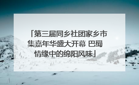 第三届同乡社团家乡市集嘉年华盛大开幕 巴蜀情缘中的绵阳风味