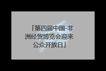 第四届中国-非洲经贸博览会迎来公众开放日